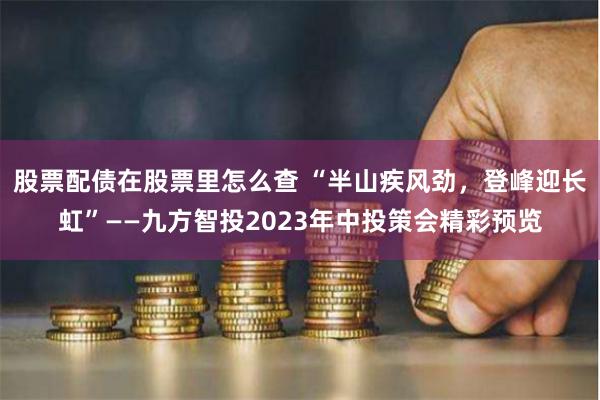 股票配债在股票里怎么查 “半山疾风劲，登峰迎长虹”——九方智投2023年中投策会精彩预览