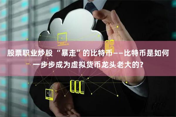 股票职业炒股 “暴走”的比特币——比特币是如何一步步成为虚拟货币龙头老大的？