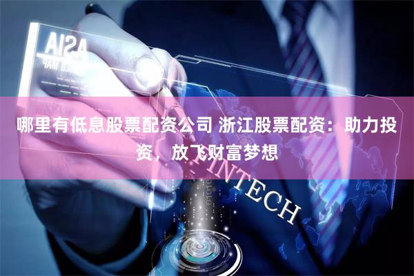 哪里有低息股票配资公司 浙江股票配资：助力投资，放飞财富梦想